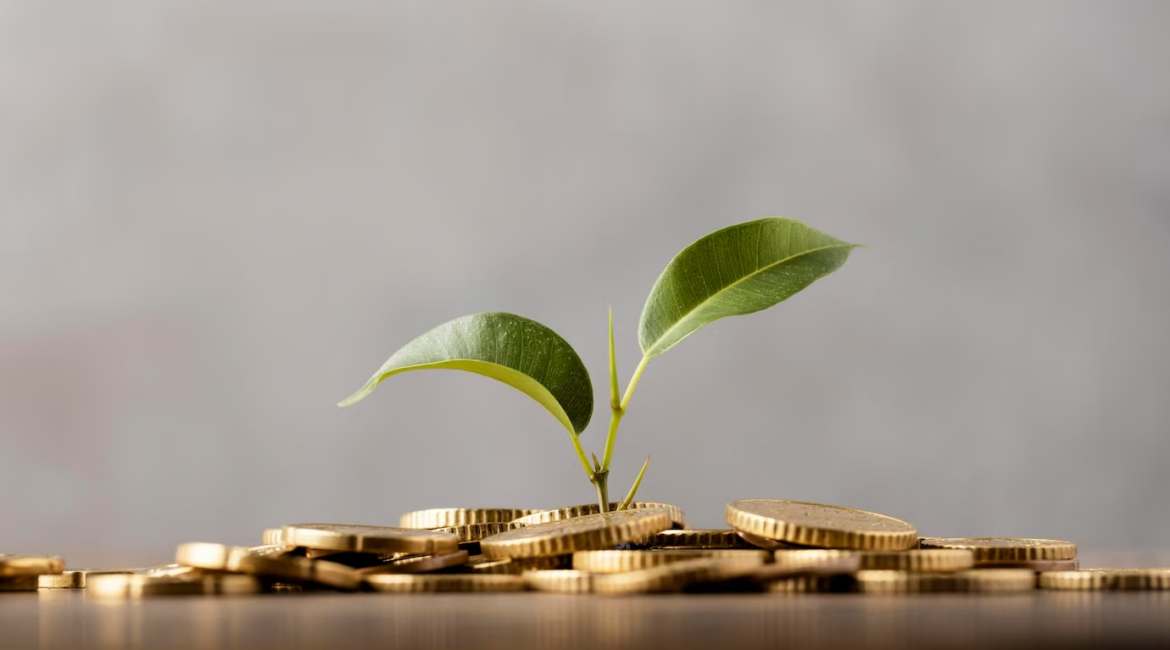 Plant sprouting from golden coins