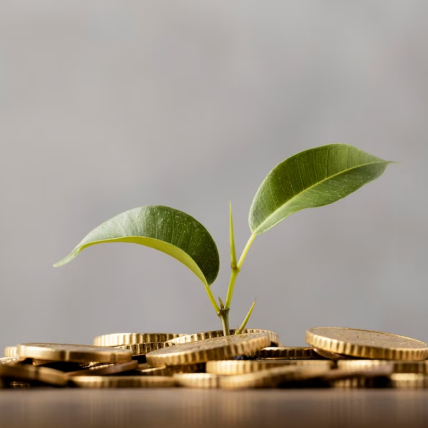 Plant sprouting from golden coins