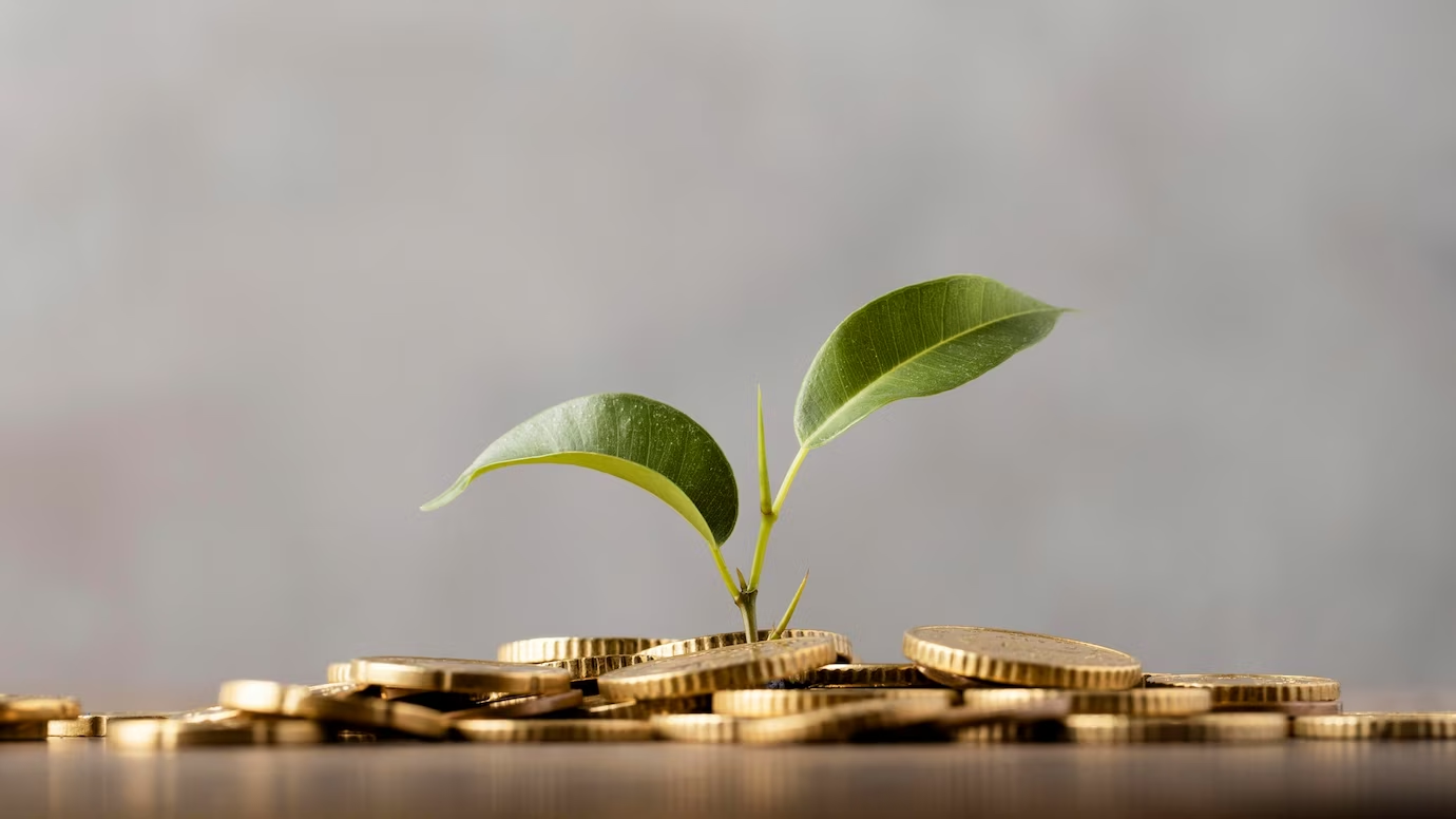 Which State has the Highest ROI The ROI Champion